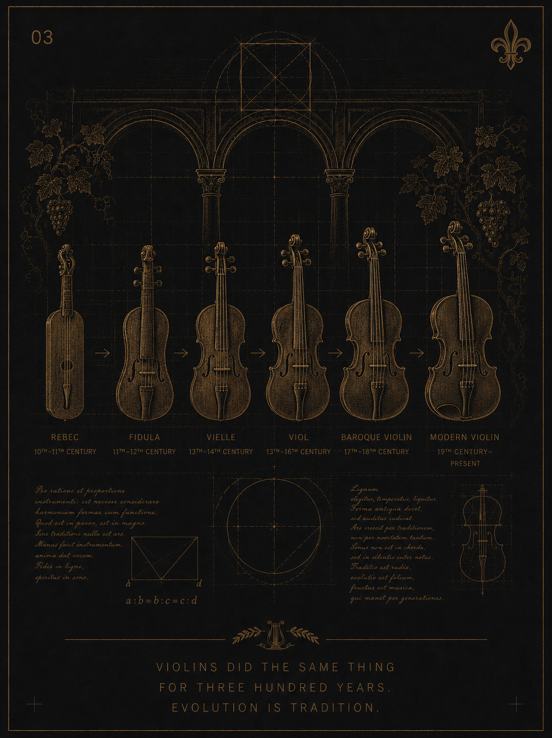 The evolution of the violin – three hundred years of shared form